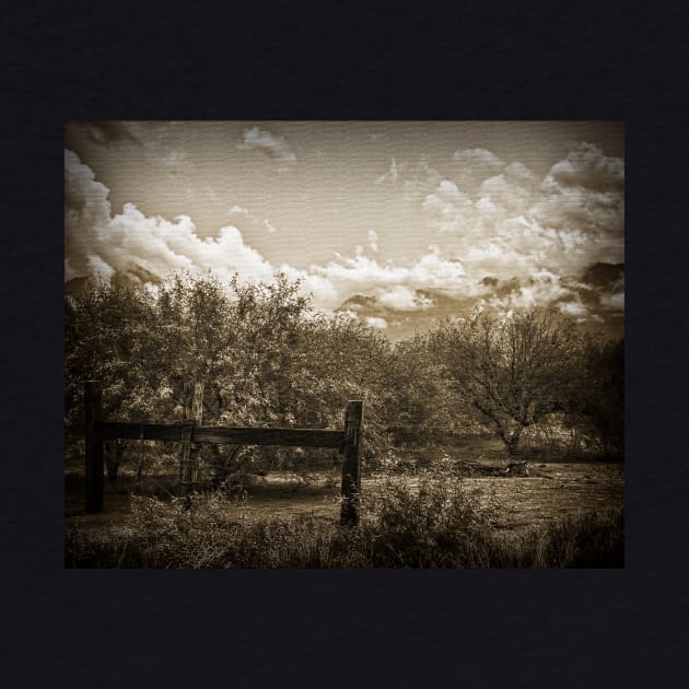 Old West Gate And Storm Clouds by KirtTisdale